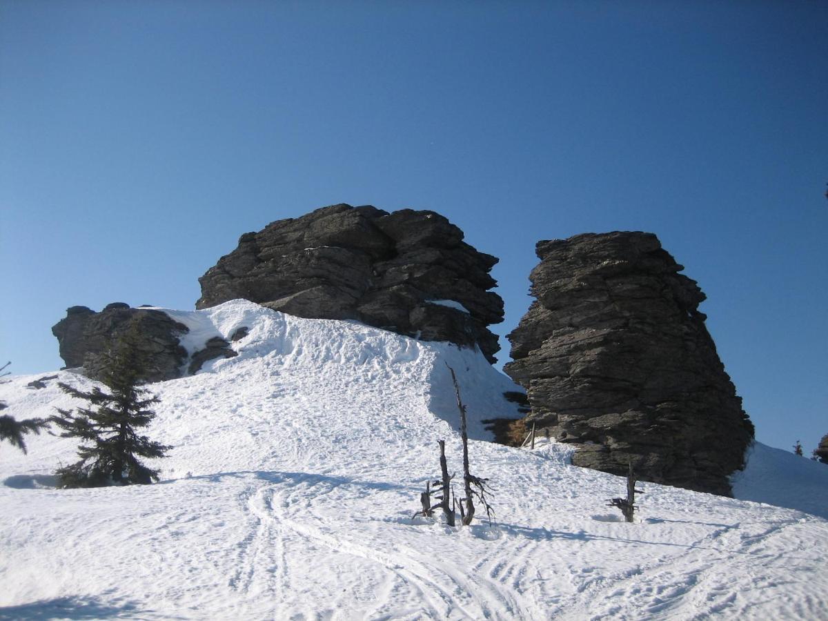 Penzion Na Kovarne Branna Exterior photo